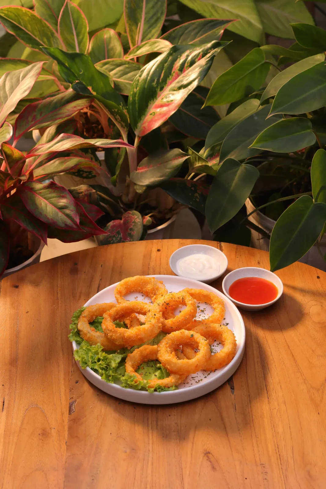 Onion Ring