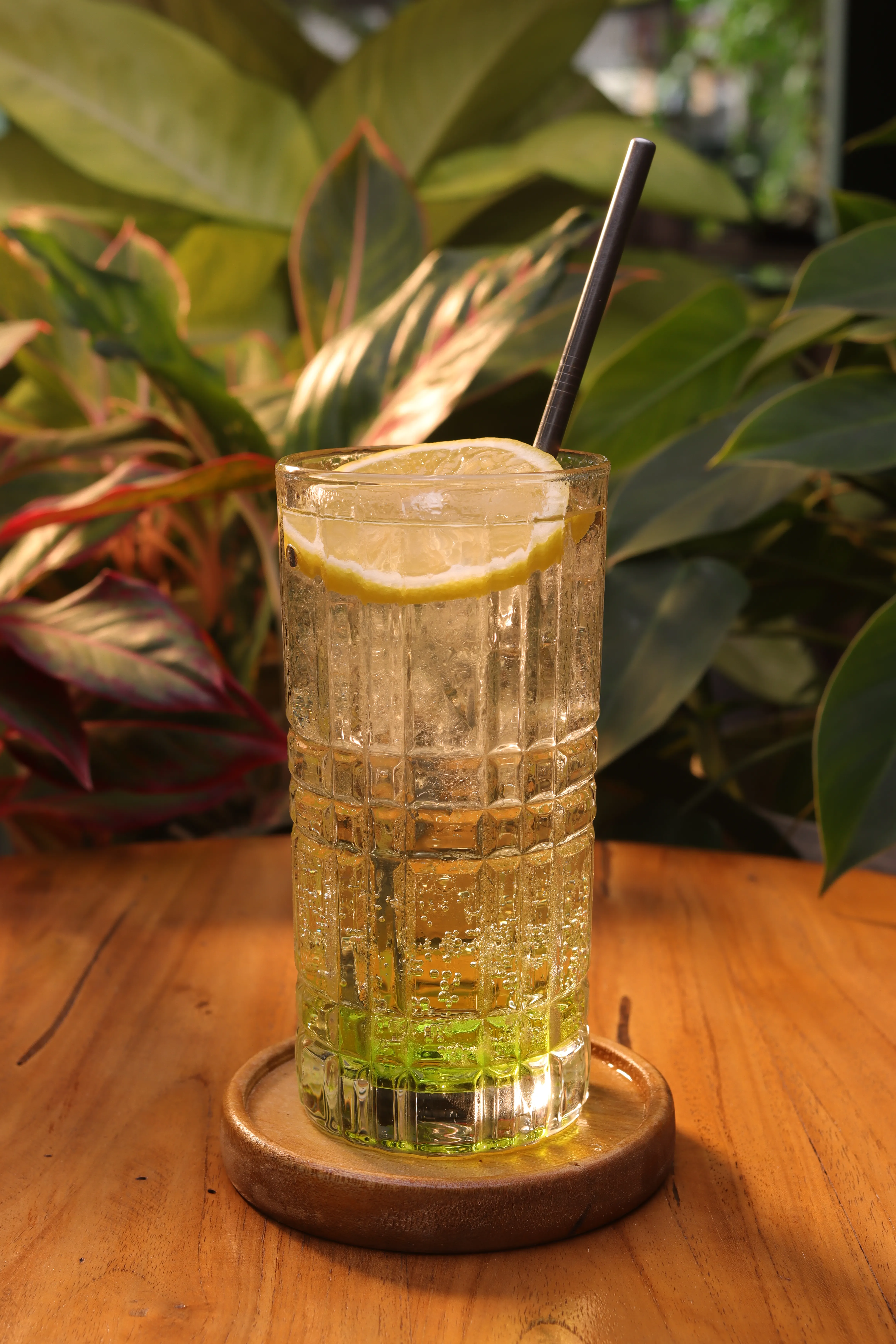 Sparkling Melon